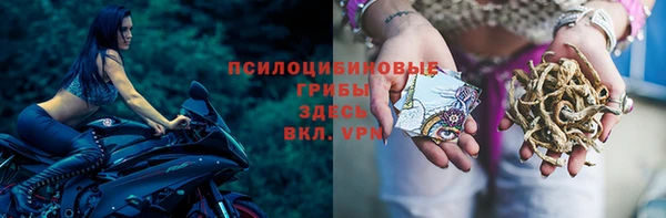ECSTASY Елабуга