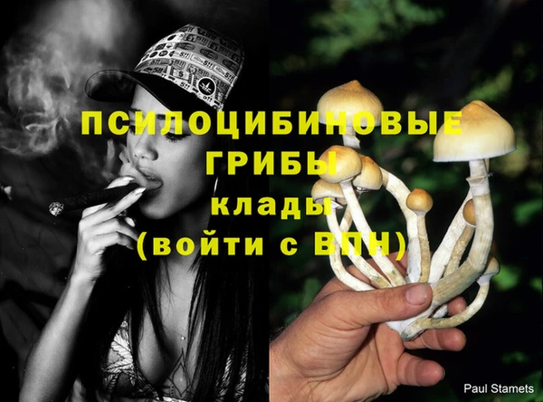 мефедрон Зеленодольск