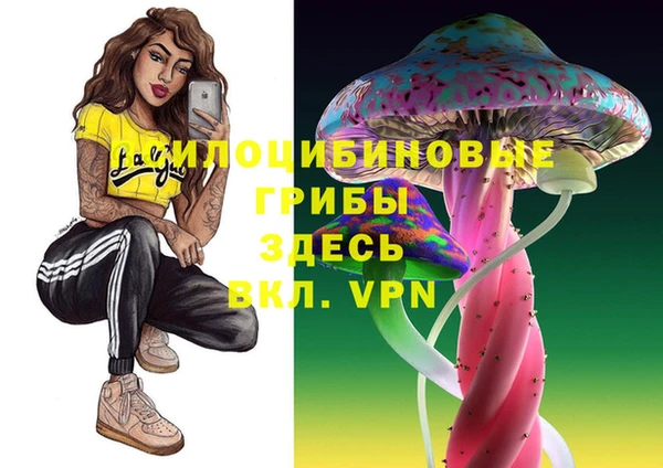 ECSTASY Елабуга