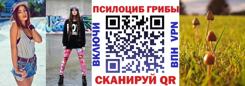 Галлюциногенные грибы Psilocybine cubensis  Купить  Фатеж 